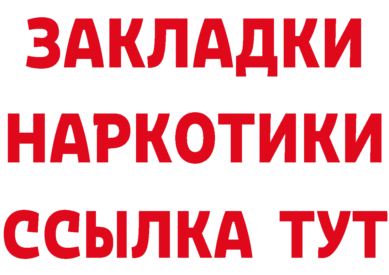 Альфа ПВП СК как войти площадка мега Дигора